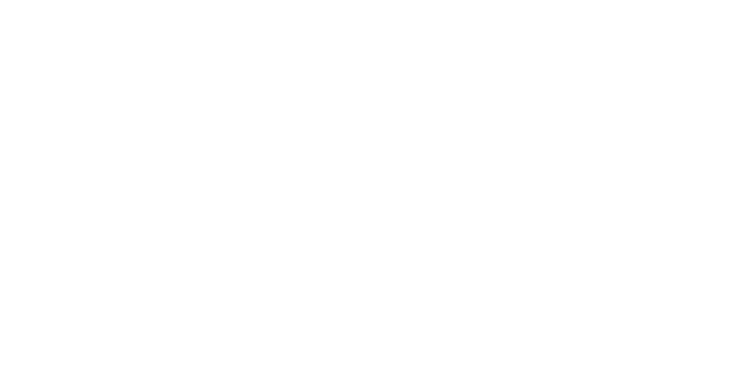 vsee logo weiß neu