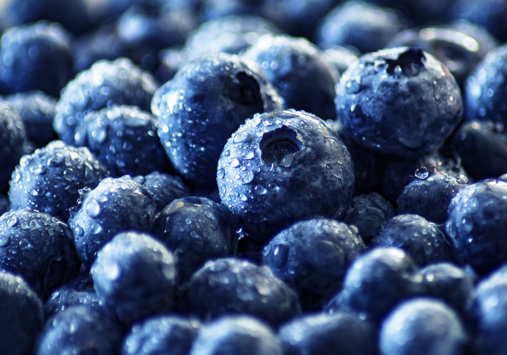 ernaehrungsberatung start 03 frische